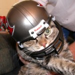 Image du Blog wistitidamour.centerblog.net